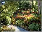 foto Giardini Trauttmansdorff - Boschi del Mondo